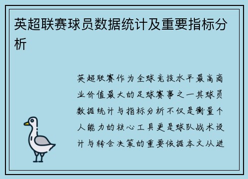 英超联赛球员数据统计及重要指标分析